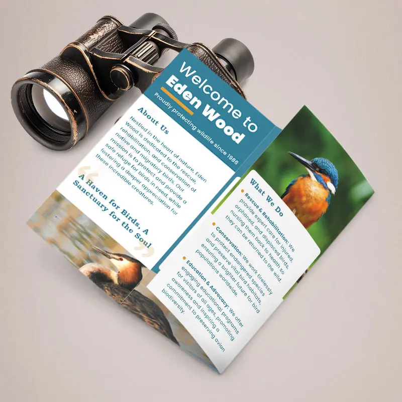 Tri-Fold Leaflet